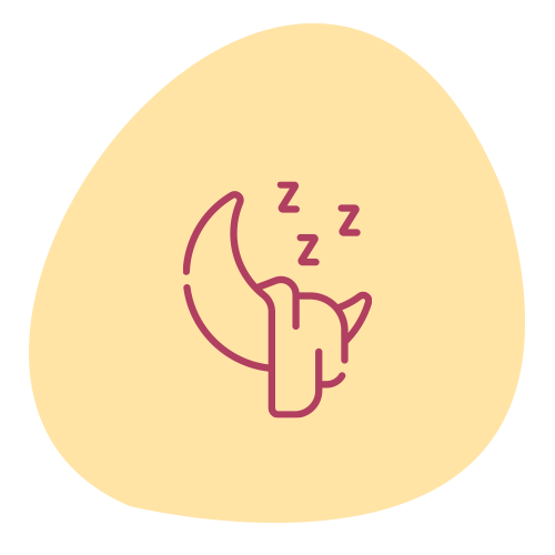 Therapy for Sleep Disorders